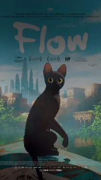 Conoce sobre Flow